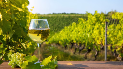 chardonnay